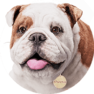 Logo Churchill