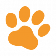 Logo PitPat
