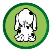 Logo Robinson Pet Shop